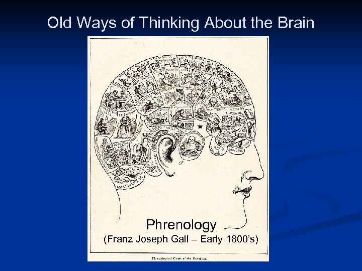 Old Ways of Thinking About the Brain Public Domain image: http: //en. wikipedia. org/wiki/File: