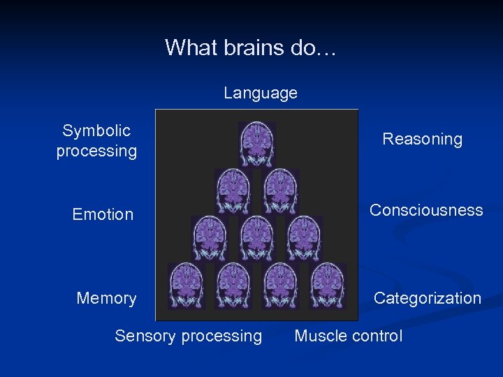 What brains do… Language Symbolic processing Reasoning Consciousness Emotion Image adapted from: http: //www.