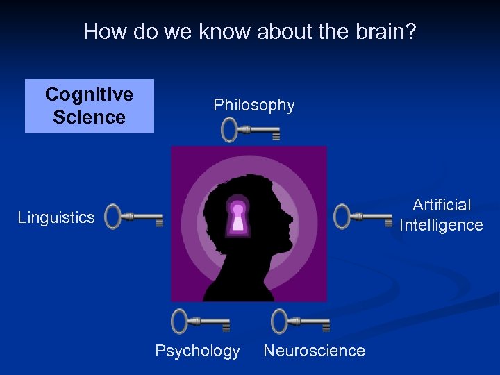 How do we know about the brain? Cognitive Science Philosophy Head: Public Domain Image