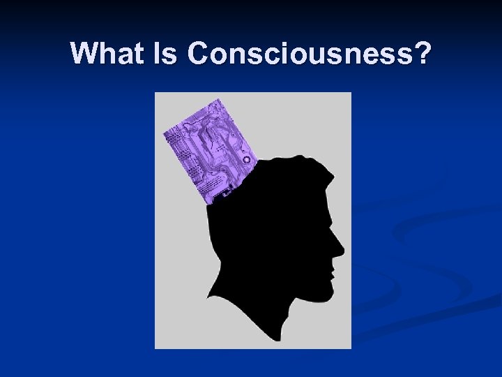 What Is Consciousness? Image Courtesy of Samford University Center for Science and Religion Circuit