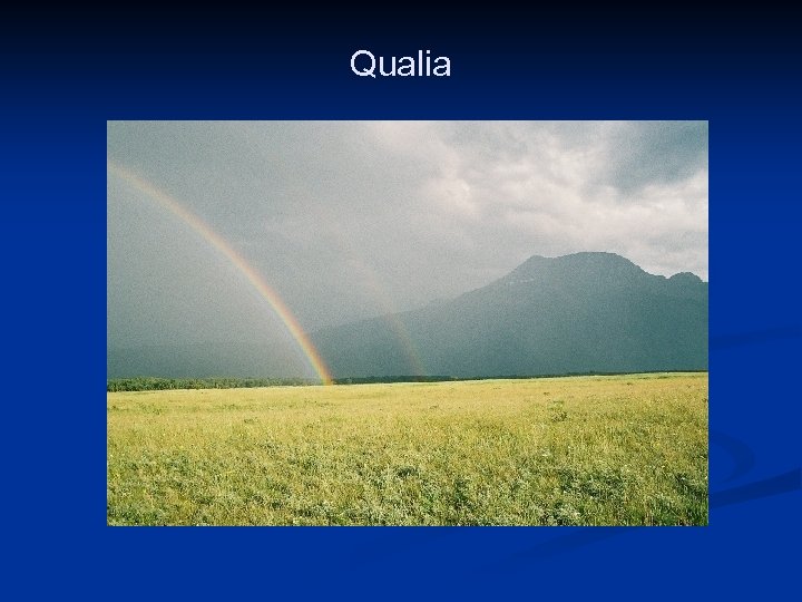 Qualia Image Courtesy of Samford University Center for Science and Religion 