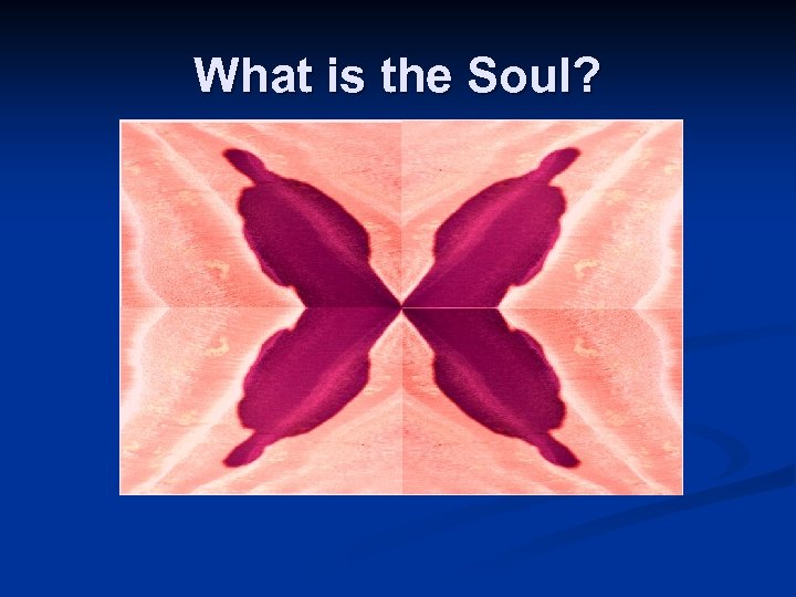What is the Soul? Modified from: http: //www. morguefile. co m/archive/display/655560 