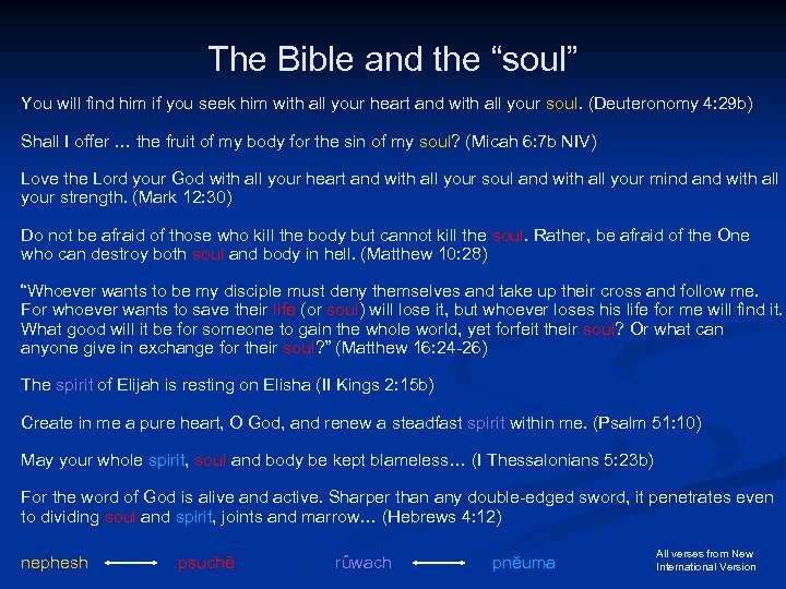 The Bible and the “soul” You will find him if you seek him with