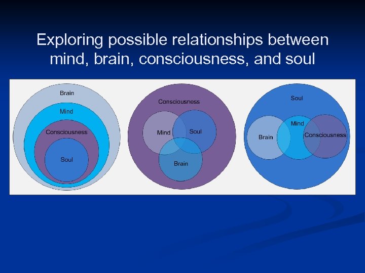 Exploring possible relationships between mind, brain, consciousness, and soul Image Courtesy of Samford University