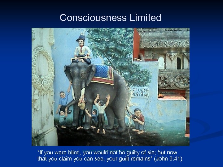 Consciousness Limited Public Domain Image http: //en. wikipedia. org/wiki/File: Blind. JPG “If you were