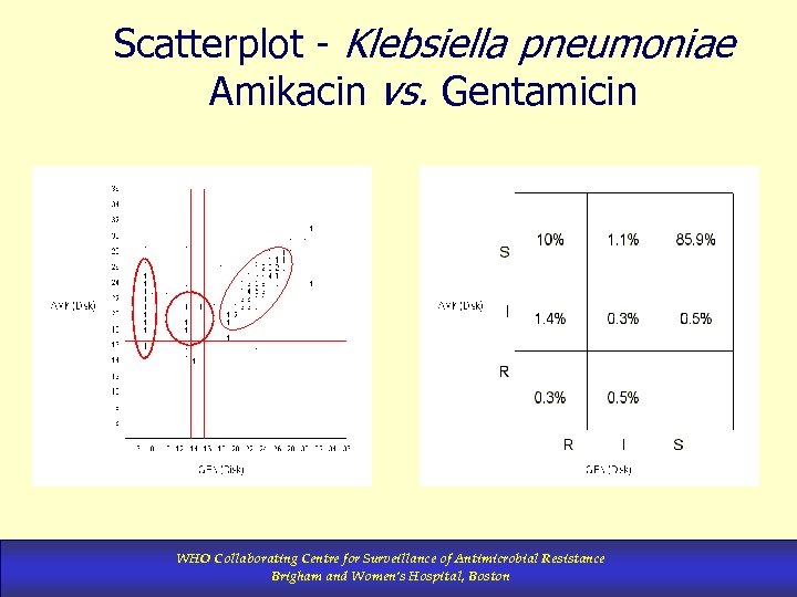 Scatterplot - Klebsiella pneumoniae Amikacin vs. Gentamicin WHO Collaborating Centre for Surveillance of Antimicrobial