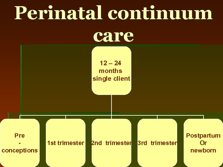 Perinatal continuum care 12 – 24 months single client Pre conceptions 1 st trimester