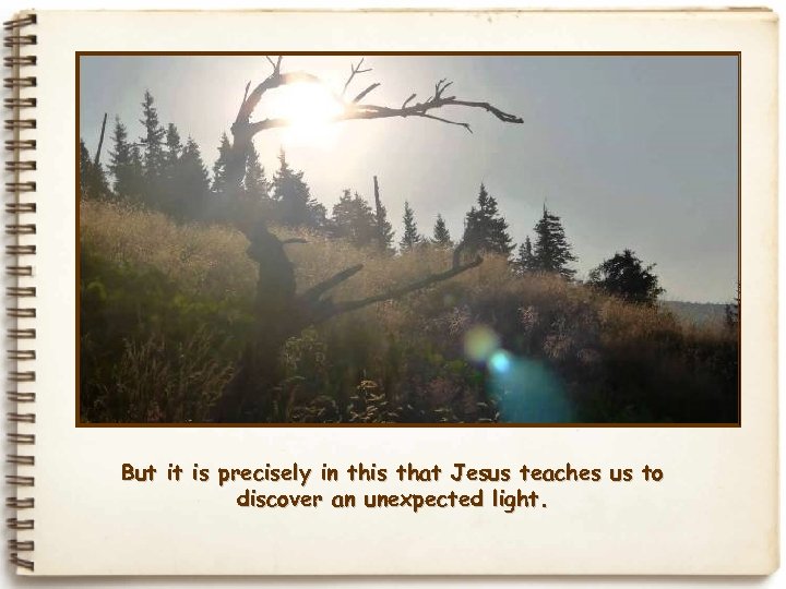 But it is precisely in this that Jesus teaches us to discover an unexpected