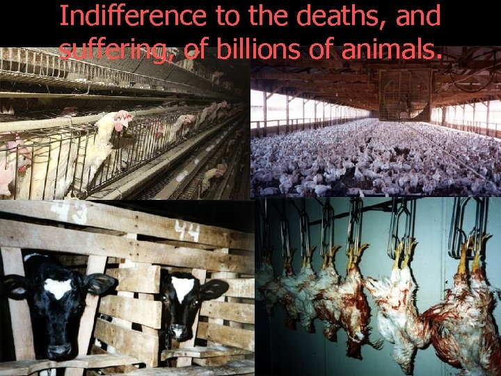 Indifference to the deaths, and suffering, of billions of animals. 