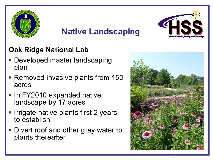 Native Landscaping Oak Ridge National Lab § Developed master landscaping plan § Removed invasive