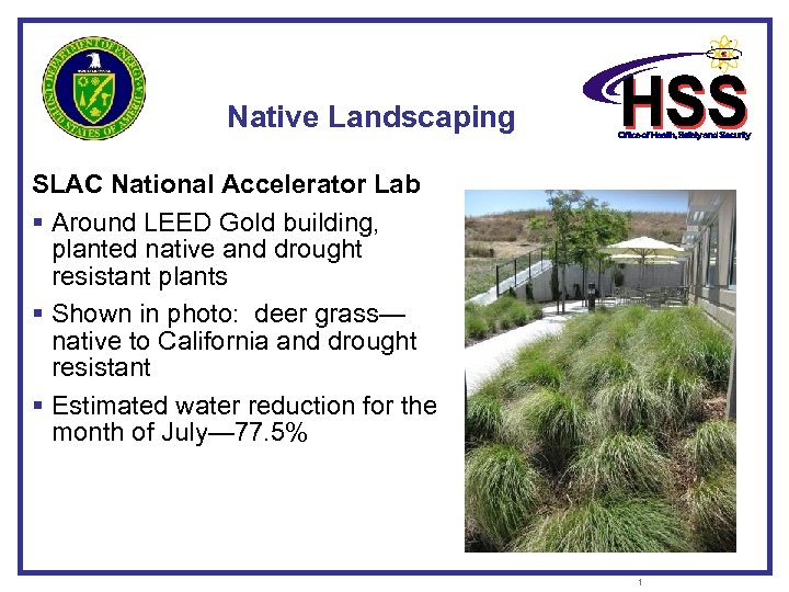 Native Landscaping SLAC National Accelerator Lab § Around LEED Gold building, planted native and