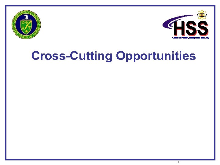 Cross-Cutting Opportunities 1 
