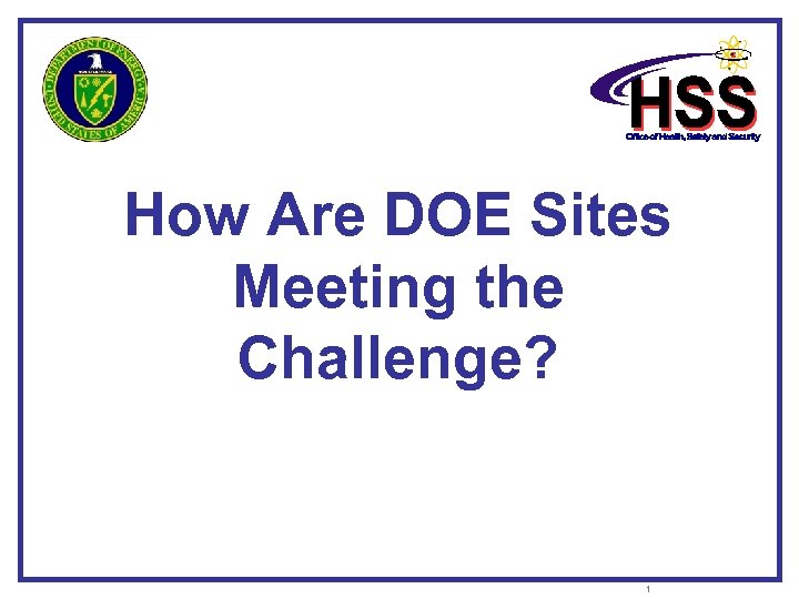 How Are DOE Sites Meeting the Challenge? 1 