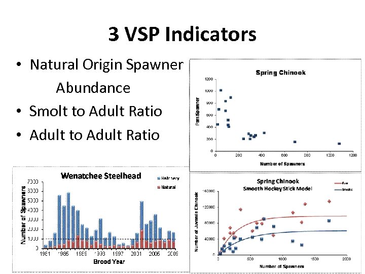 3 VSP Indicators • Natural Origin Spawner Abundance • Smolt to Adult Ratio •