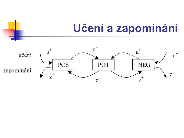 Učení a zapomínání 