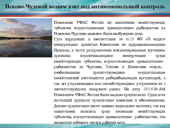 Псково-Чудской водоем взят под антимонопольный контроль Псковским УФАС России по заявлениям хозяйствующих субъектов осуществляющих