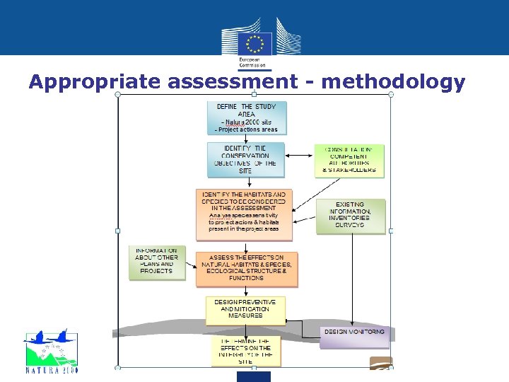 Appropriate assessment - methodology 