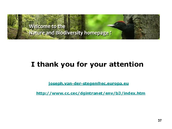 I thank you for your attention joseph. van-der-stegen@ec. europa. eu http: //www. cc. cec/dgintranet/env/b