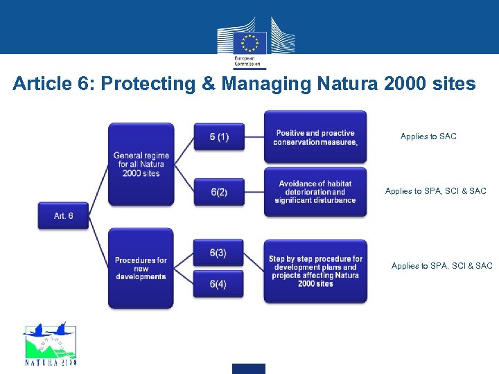 Article 6: Protecting & Managing Natura 2000 sites Applies to SAC Applies to SPA,