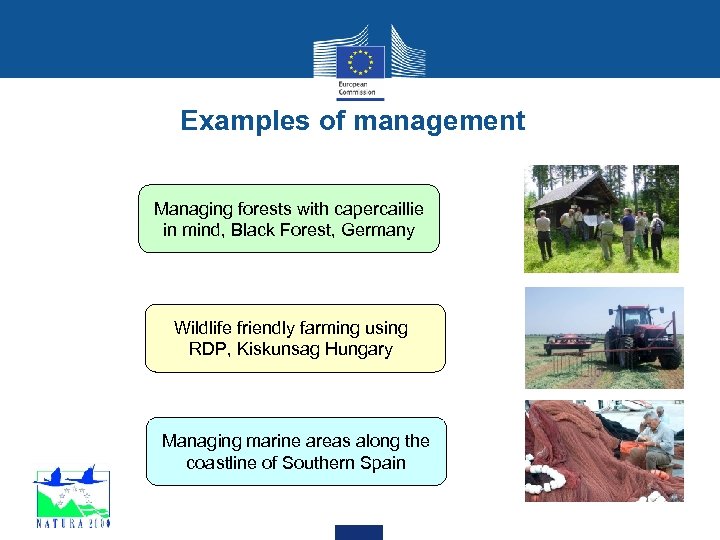 Examples of management Managing forests with capercaillie in mind, Black Forest, Germany Wildlife friendly