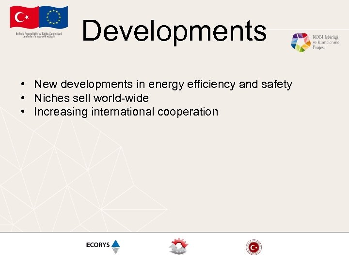 Developments • New developments in energy efficiency and safety • Niches sell world-wide •