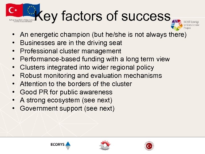 Key factors of success • • • An energetic champion (but he/she is not