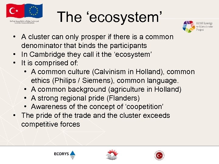 The ‘ecosystem’ • A cluster can only prosper if there is a common denominator