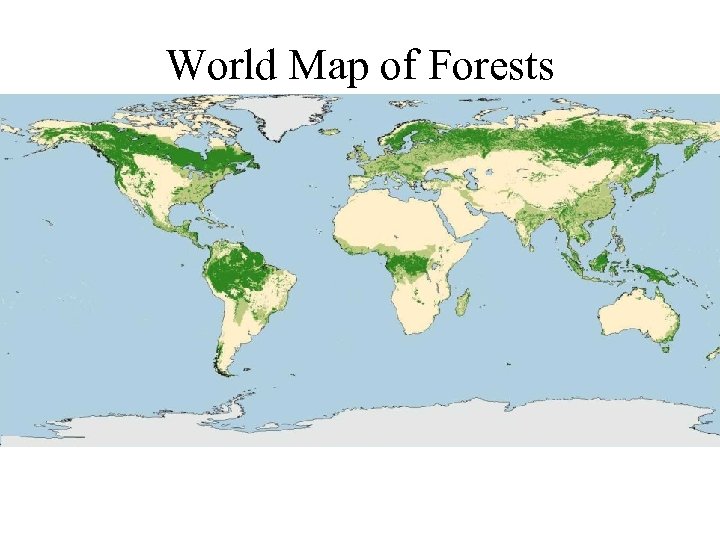 World Map of Forests 