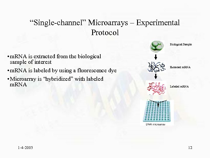 “Single-channel” Microarrays – Experimental Protocol Biological Sample • m. RNA is extracted from the