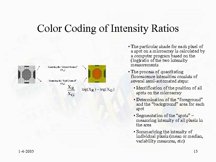 Color Coding of Intensity Ratios • The particular shade for each pixel of a