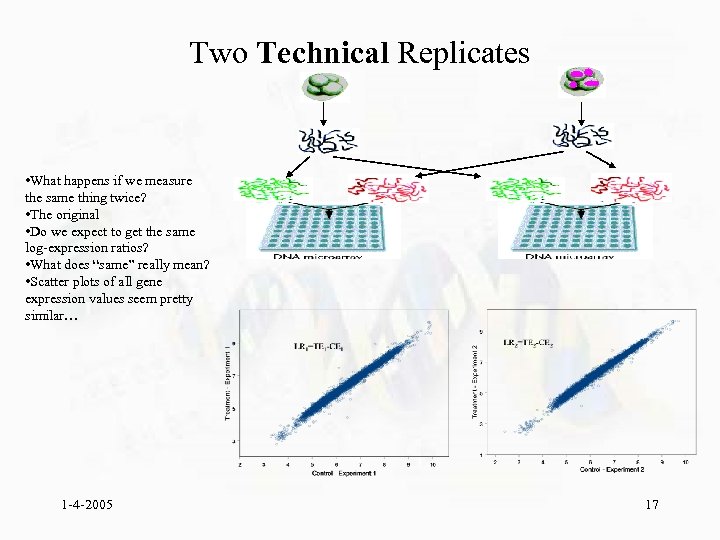 Two Technical Replicates • What happens if we measure the same thing twice? •