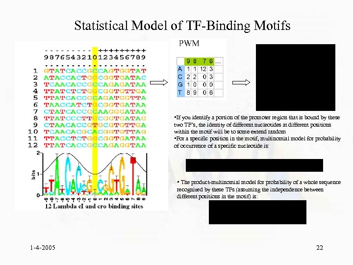 Statistical Model of TF-Binding Motifs • If you identify a portion of the promoter