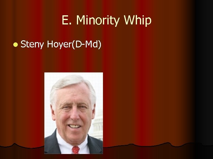 E. Minority Whip l Steny Hoyer(D-Md) 