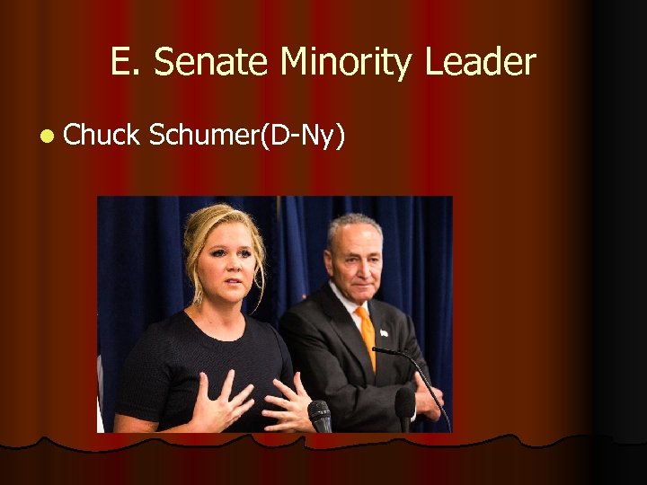 E. Senate Minority Leader l Chuck Schumer(D-Ny) 