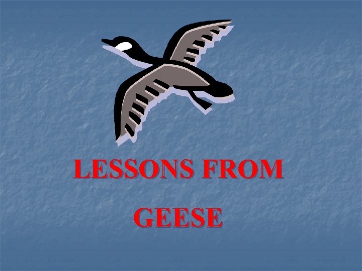 LESSONS FROM GEESE 