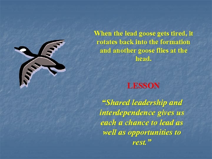 When the lead goose gets tired, it rotates back into the formation and another