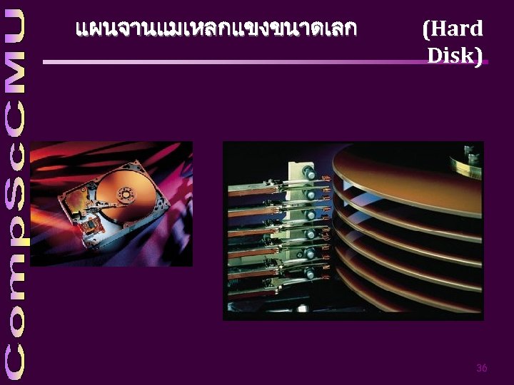 แผนจานแมเหลกแขงขนาดเลก (Hard Disk) 36 