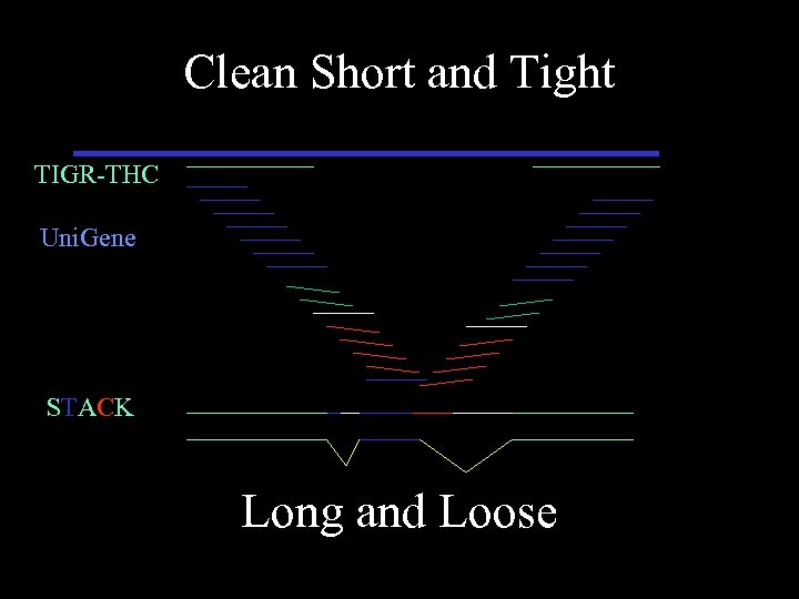 Clean Short and Tight TIGR-THC Uni. Gene STACK Long and Loose 