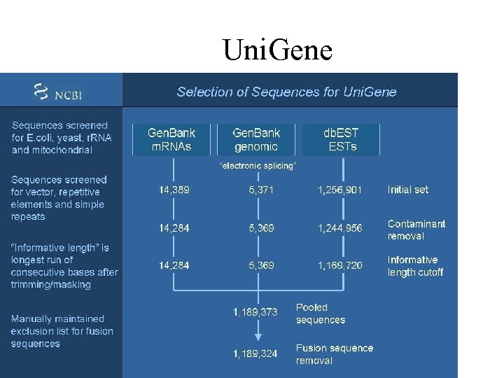Uni. Gene 