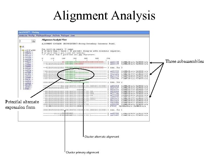 Alignment Analysis Three subassemblies Potential alternate expression form 