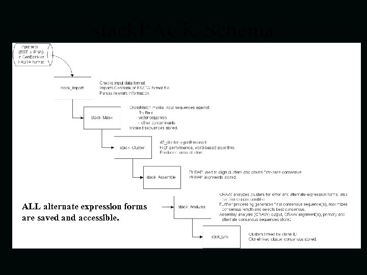 stack. PACK Schema ALL alternate expression forms are saved and accessible. 