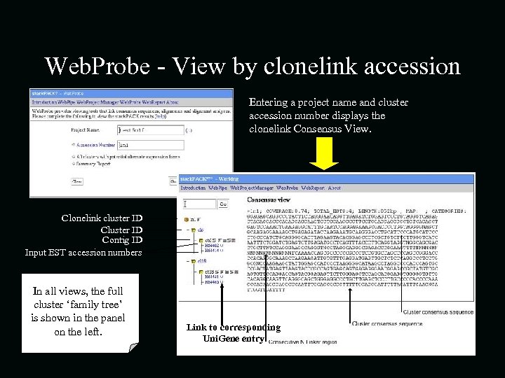 Web. Probe - View by clonelink accession Entering a project name and cluster accession