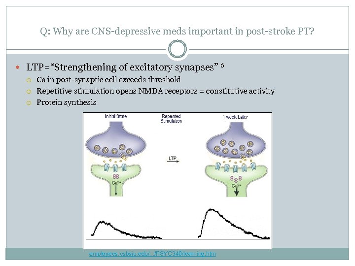 Q: Why are CNS-depressive meds important in post-stroke PT? LTP=“Strengthening of excitatory synapses” 6