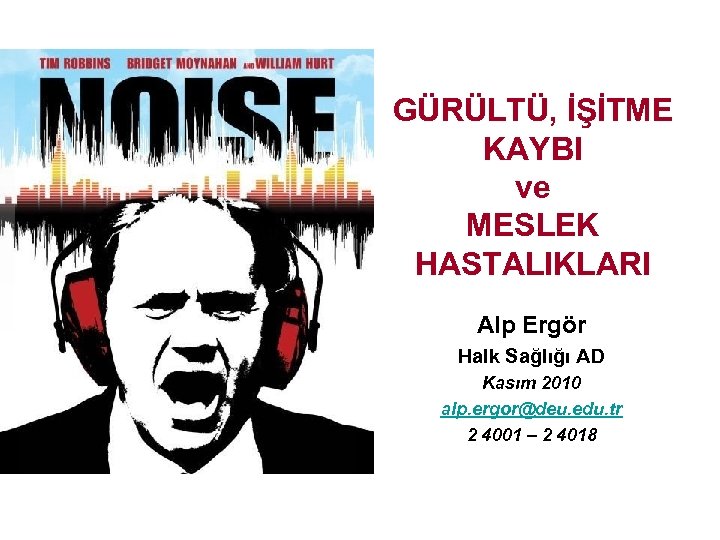 GÜRÜLTÜ, İŞİTME KAYBI ve MESLEK HASTALIKLARI Alp Ergör Halk Sağlığı AD Kasım 2010 alp.