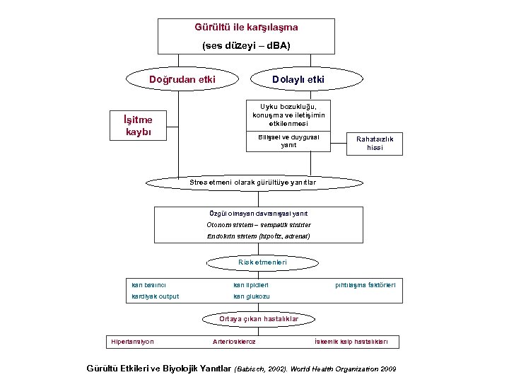 Gürültü ile karşılaşma (ses düzeyi – d. BA) Doğrudan etki İşitme kaybı Dolaylı etki