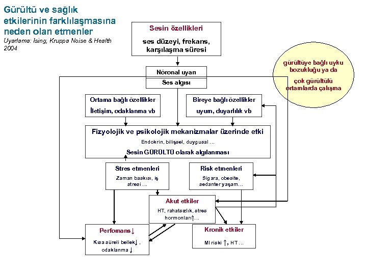 Gürültü ve sağlık etkilerinin farklılaşmasına neden olan etmenler Sesin özellikleri ses düzeyi, frekans, karşılaşma