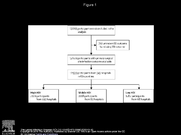 Figure 1 The Lancet Infectious Diseases DOI: (10. 1016/S 1473 -3099(18)30101 -4) Copyright ©