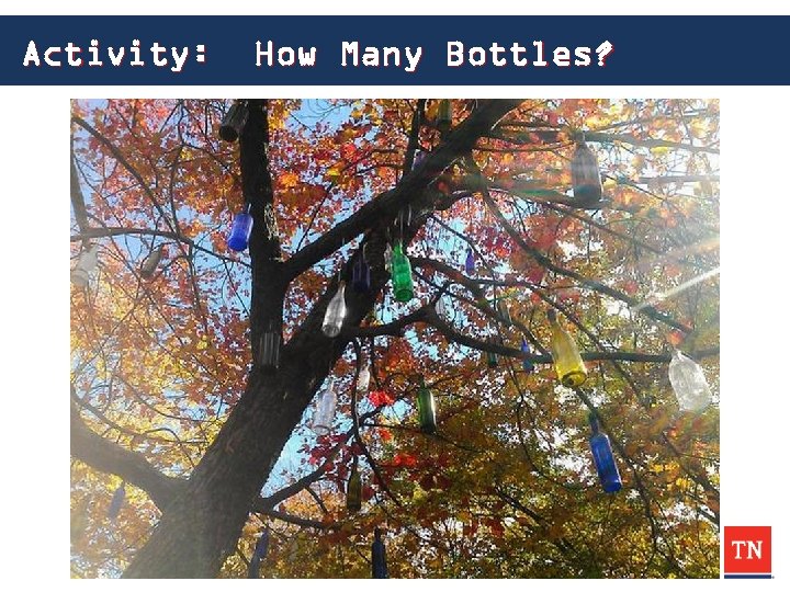 Activity: How Many Bottles? 
