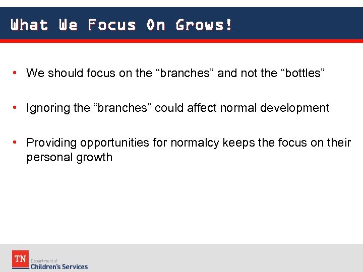 What We Focus On Grows! • We should focus on the “branches” and not