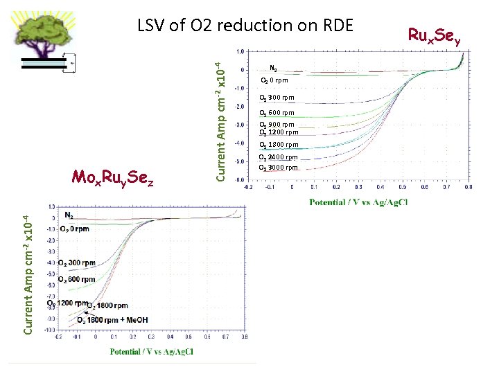 Current Amp cm-2 x 10 -4 Mox. Ruy. Sez Current Amp cm-2 x 10